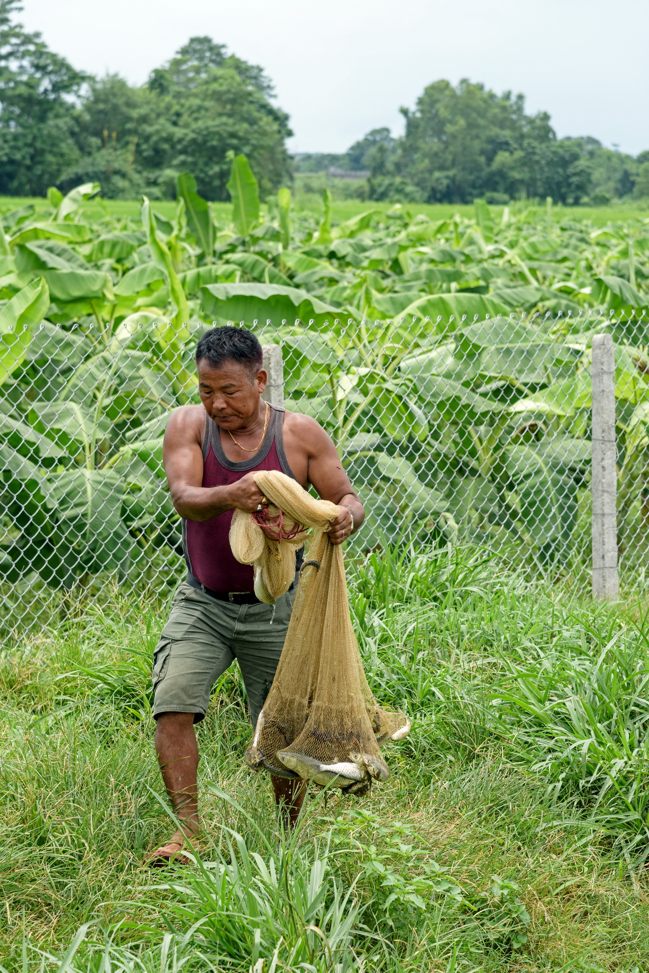 Farm